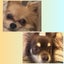 なおあちゃのサムネイル