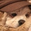 abbyのサムネイル
