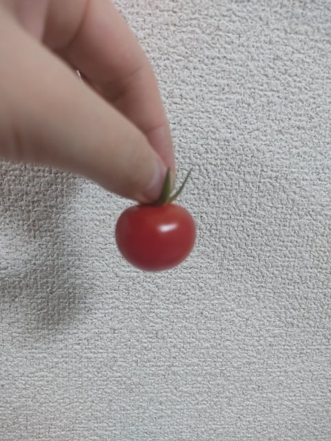 やえ