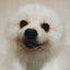 charmingsyujiのサムネイル