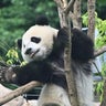 キヨコのプロフィール