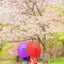 ぺぺろんのサムネイル