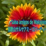 和歌山サルサアミーゴパーティー🌈Salsa amigos de Wakayama 🌈のプロフィール