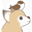ケリーのサムネイル