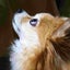 tomomiのサムネイル