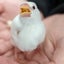 しゅうまい村の村長のサムネイル