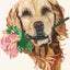 画像 ピンキーのユーザープロフィール画像