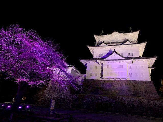 夜の私は昼の私をいつも裏切る | 日々楽しく過ごそう