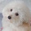 sanayukaのサムネイル