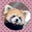 アボルのサムネイル