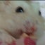 🌺🐹ラムネ🐭🌺のふゎふゎ〜なかんじ❣️のサムネイル