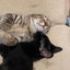 ちみゃんのサムネイル