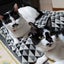 画像 バンライフ　キャンピングカーZelt CP「ツェルさん」と元野良猫「まめ」「はな」と我が家のお話のユーザープロフィール画像