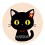 画像 はなねこの、ゆるっとつれづれ。のユーザープロフィール画像
