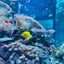 悠乃のサムネイル