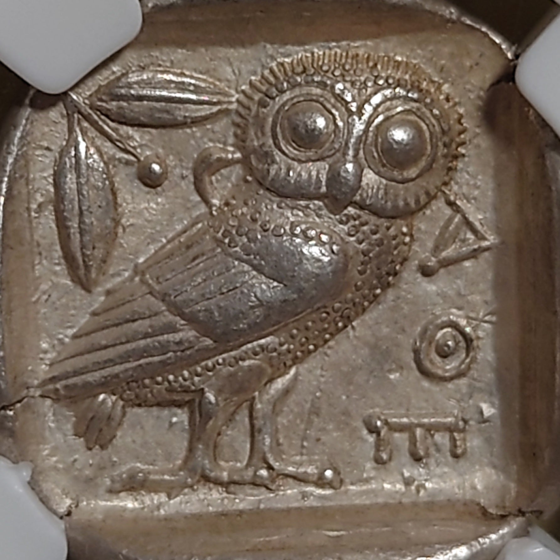 AW 第37回オークション～古代貨セッション①開幕 | 今日も気まま