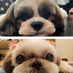 lukaのプロフィール