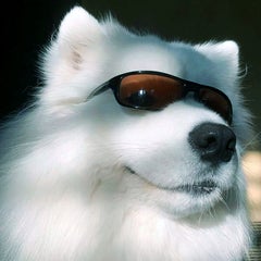 Sato-Pのプロフィール