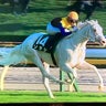 みえーるの競馬予想のプロフィール