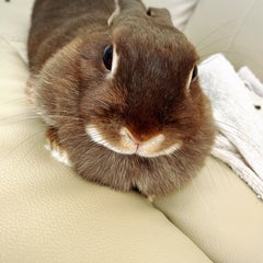 ともみんのプロフィール