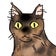 保護猫かやさん～凛々しいサビ猫様と私～