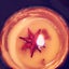 画像 lamanamayaのブログのユーザープロフィール画像