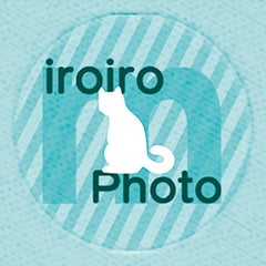 iroiro-mphotoのプロフィール