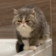 ちるあう子のサムネイル