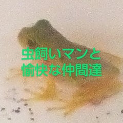 虫飼いマンのプロフィール