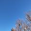Kiyoぽん 癒しの園芸のサムネイル