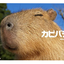 Kanonのサムネイル