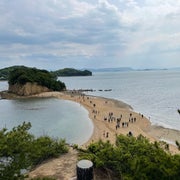 tanokomaのおすすめのサムネイル
