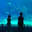 すまのサムネイル