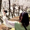 さゆのプロフィール
