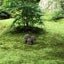 ouenshiteruyo50のサムネイル