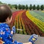 きなこのサムネイル