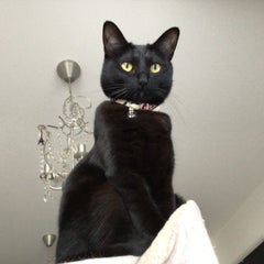 ルナママ　(元ビキルナ)のプロフィール