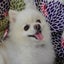 さくらRose  amiのサムネイル