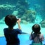 haru-maru418のサムネイル