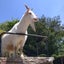 mtmtcanのサムネイル