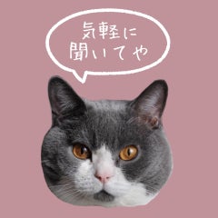 あごひげにゃんこのプロフィール