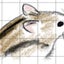 aririnnのサムネイル