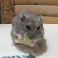 あお★のサムネイル
