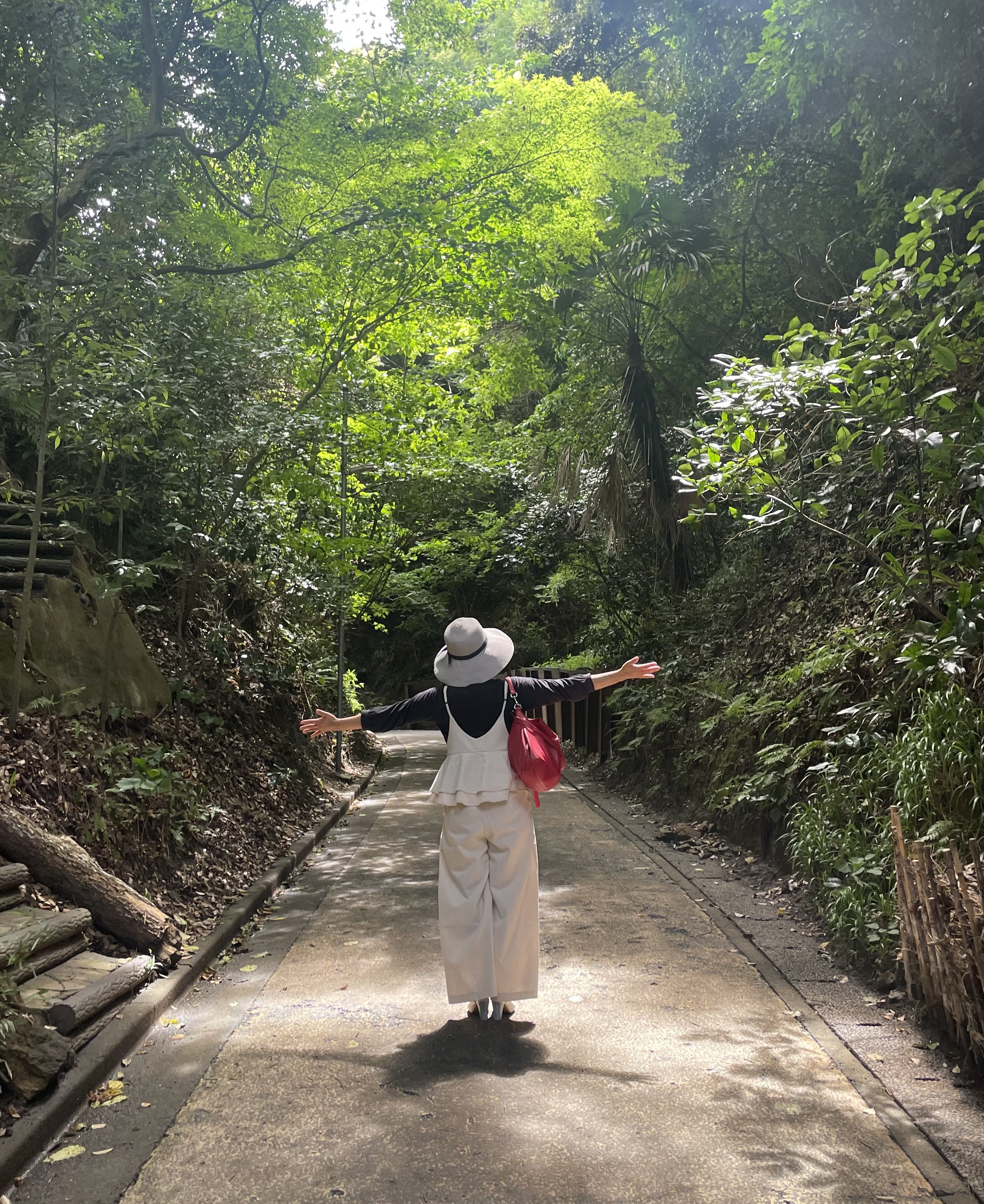 非常勤講師として復活しました! 小学校の非常勤講師になろう!