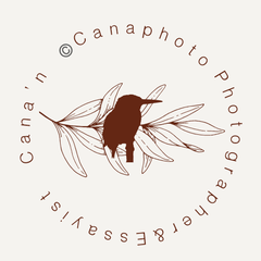 Cana'nのプロフィール