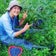 南果樹園のブログ