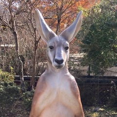 ポーシャのプロフィール