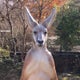 ポーシャのおすすめのサムネイル