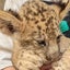 ひたねとのサムネイル