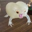 わらびのサムネイル